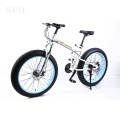 Factory Double Disc Bikes 26 Inch Beach Bike Fat Tire /Snow Mountain Bicycle/good quality snow bike